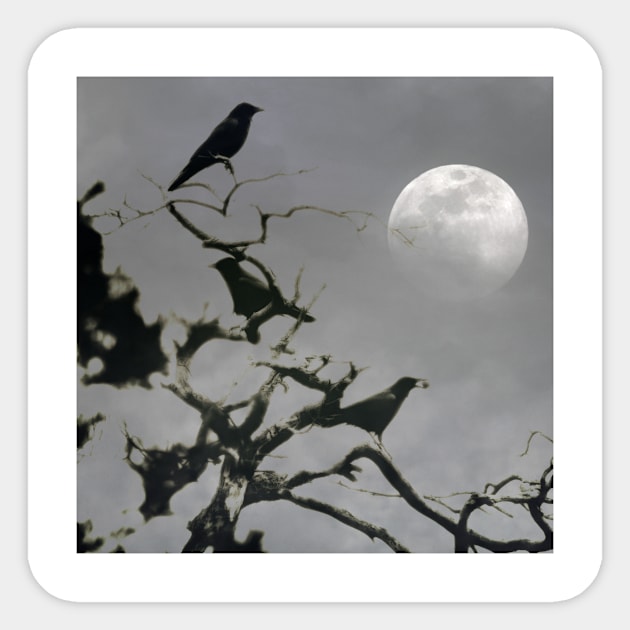 Crows Under A Full Moon Sticker by JimDeFazioPhotography